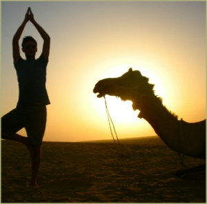 7 day Tour of Morocco from Casablanca 7 day Tour of Morocco from Casablanca