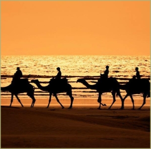 Best Morocco Beach Holidays Best Morocco Beach Holidays