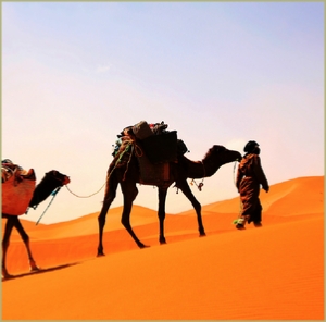 3 days desert tour : Marrakech to Chigaga and night in camp 3 days desert tour : Marrakech to Chigaga and night in camp
