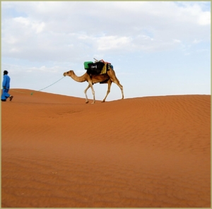 3 Day New Year Tour from Marrakech To Sahara 3 Day New Year Tour from Marrakech To Sahara