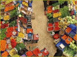 Explore best of Marrakech medina in half day trip Explore best of Marrakech medina in half day trip