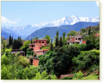 Ourika Valley & Atlas Day Tour from Marrakech